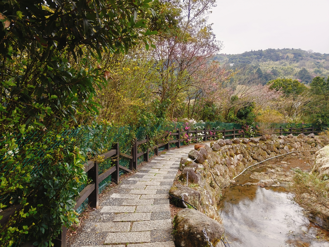 113年度臺北市山坡地溪溝更新預約式工程_北區_-3.jpg