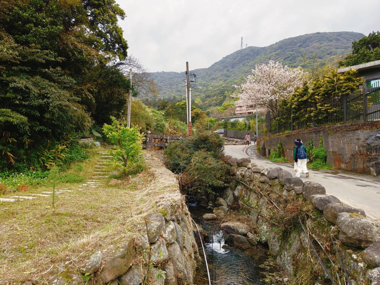 113年度臺北市山坡地溪溝更新預約式工程_北區_-4.jpg