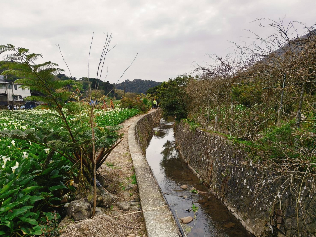 113年度臺北市山坡地溪溝更新預約式工程_北區_-5.jpg