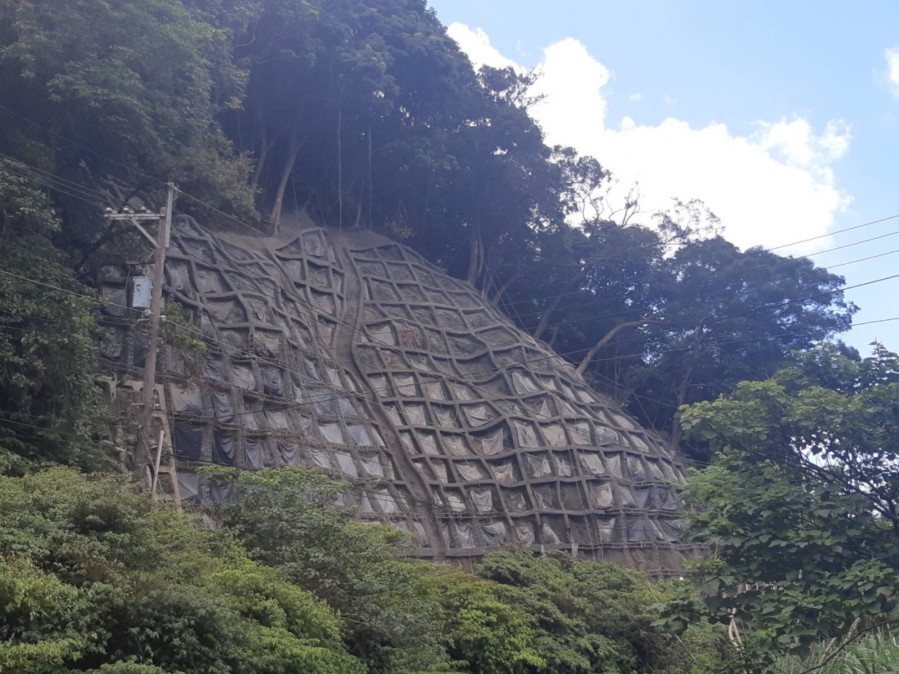 111年度臺北市山坡地邊坡_南區_暨農業環境維護預約式工程_112年續約_-4.jpg